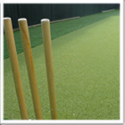 Artificial cricket pitch