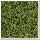 Needle Punched Tufted Cricket Matting